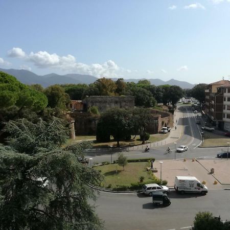 Treehouse Hotel Pisa Exterior photo